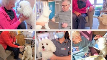 Sensory poodle statue donated to Highgate care home